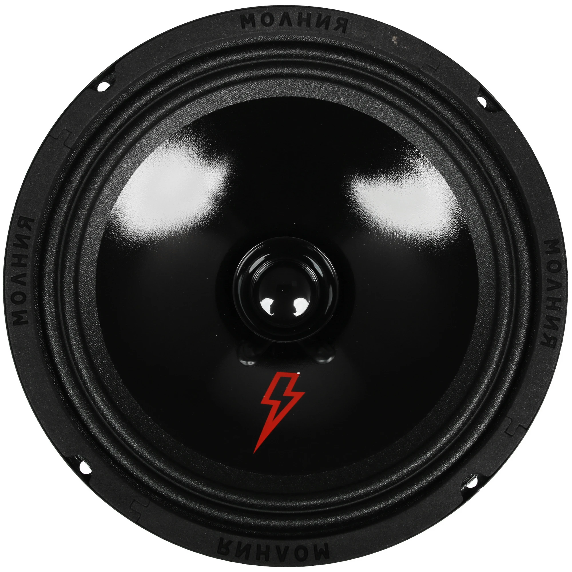 Акустическая система УРАЛ МОЛНИЯ АС-МЛ200 (4) Арт. 3290638