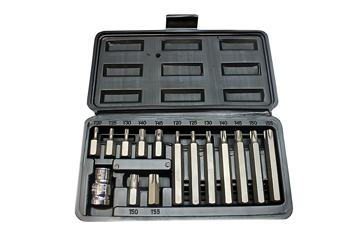 Набор бит 15пр. TORX  Т20-Т55  АД  (1) Арт. 40644