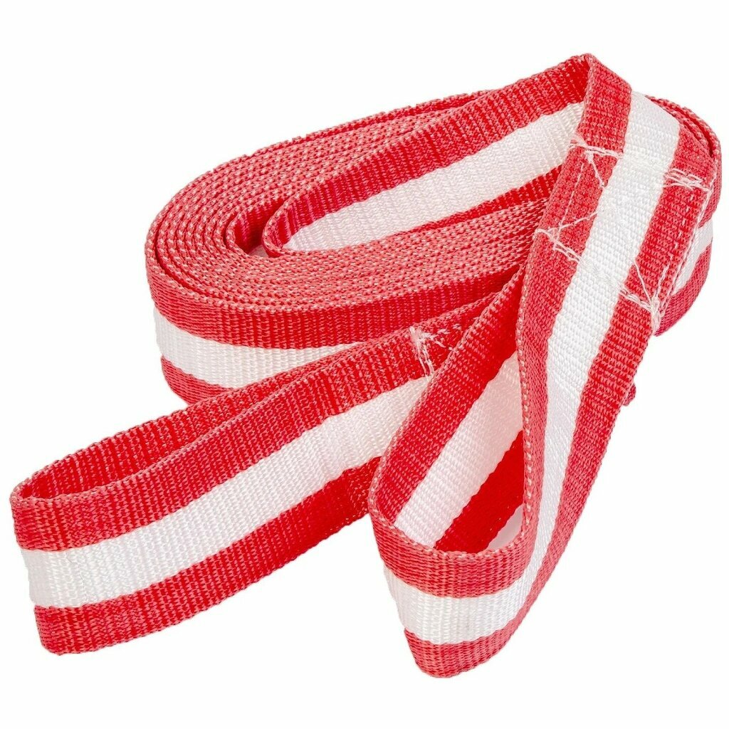 Трос буксировочный лента, AUTOPROFI, 10 тонн, с 2-мя петлями, термоупаковка, длина 5 м., ширина 55 м (2) Арт. TRL-100